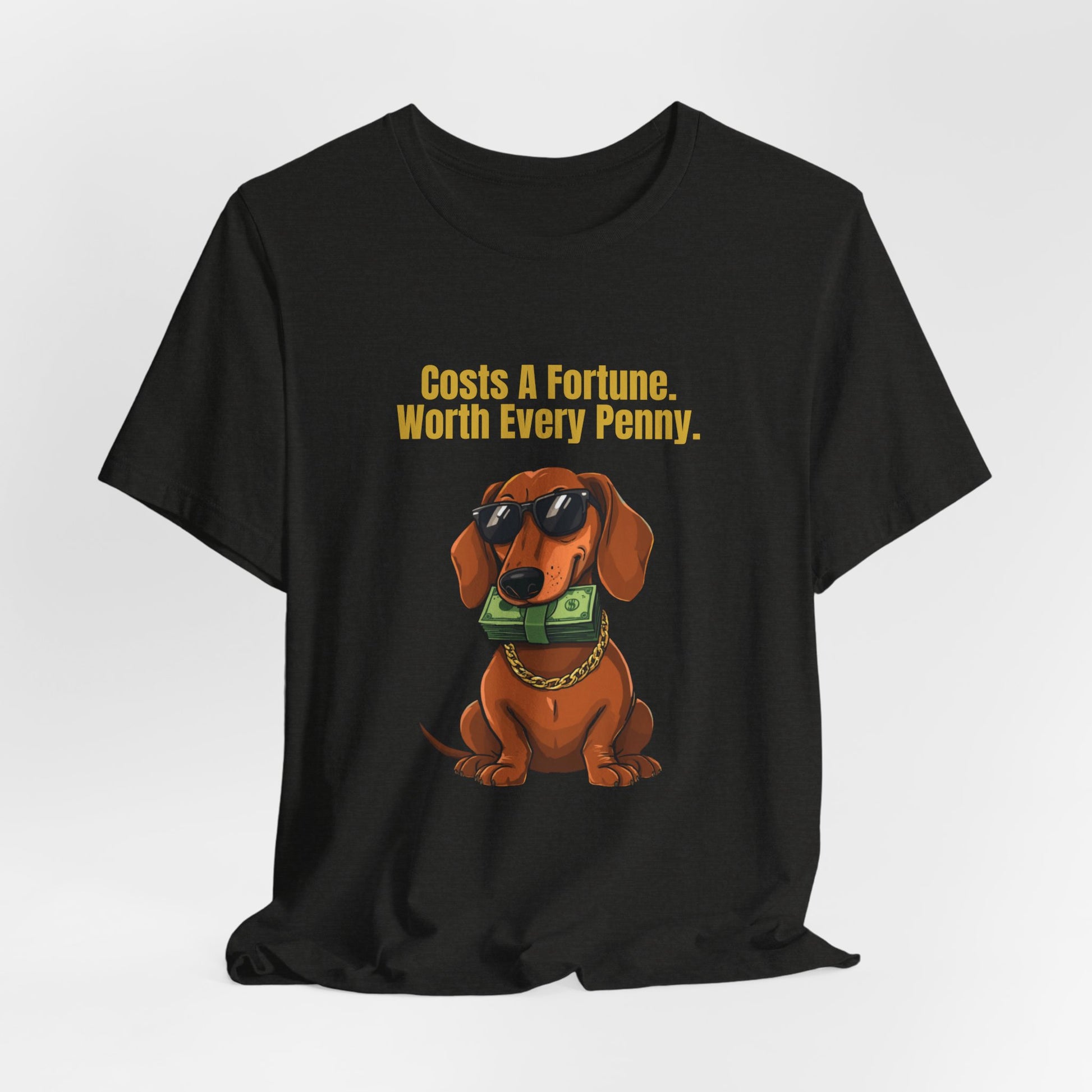 Costs A Fortune Dachshund t-shirt - sleeve and neckline detail