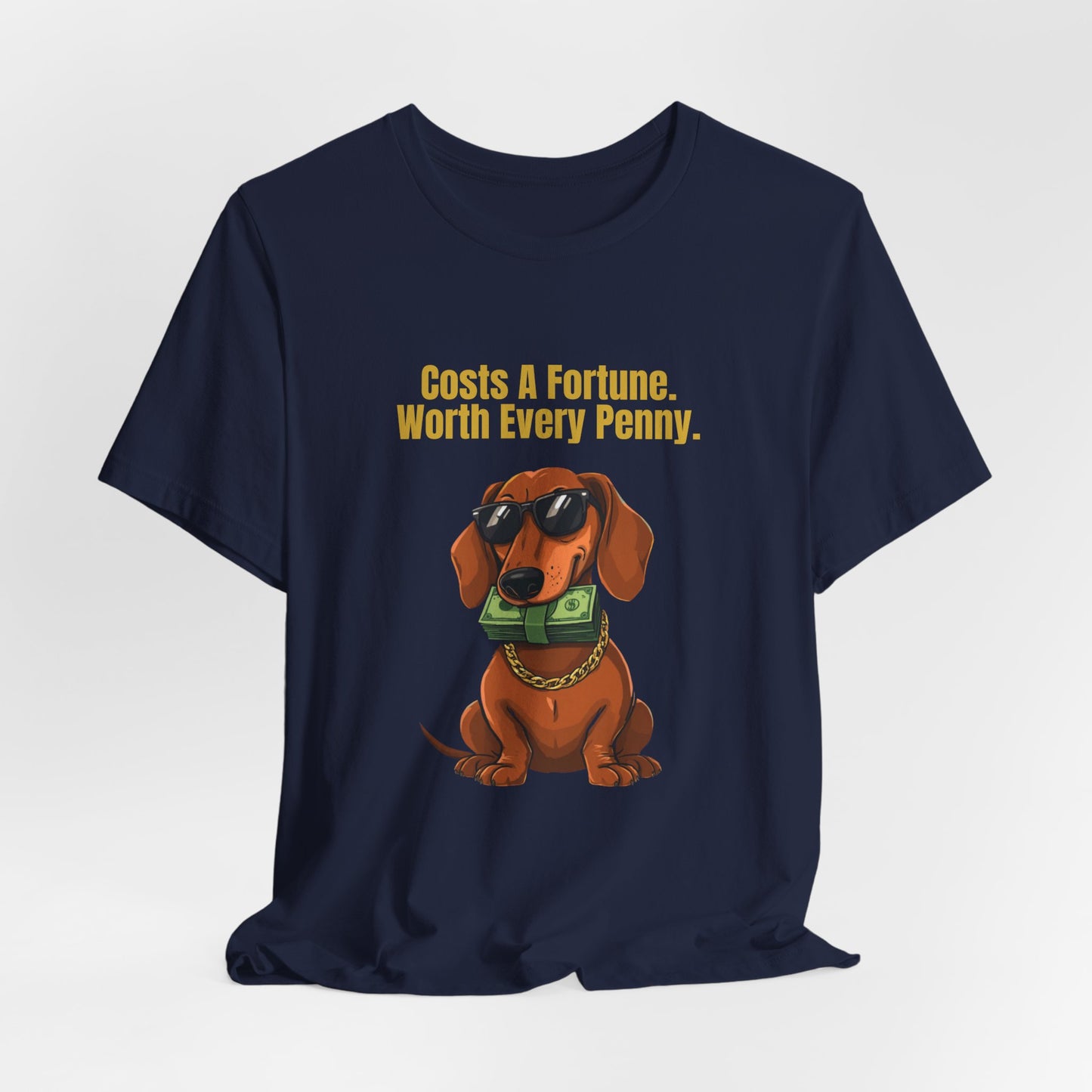 Costs A Fortune Dachshund t-shirt - styled with accessories