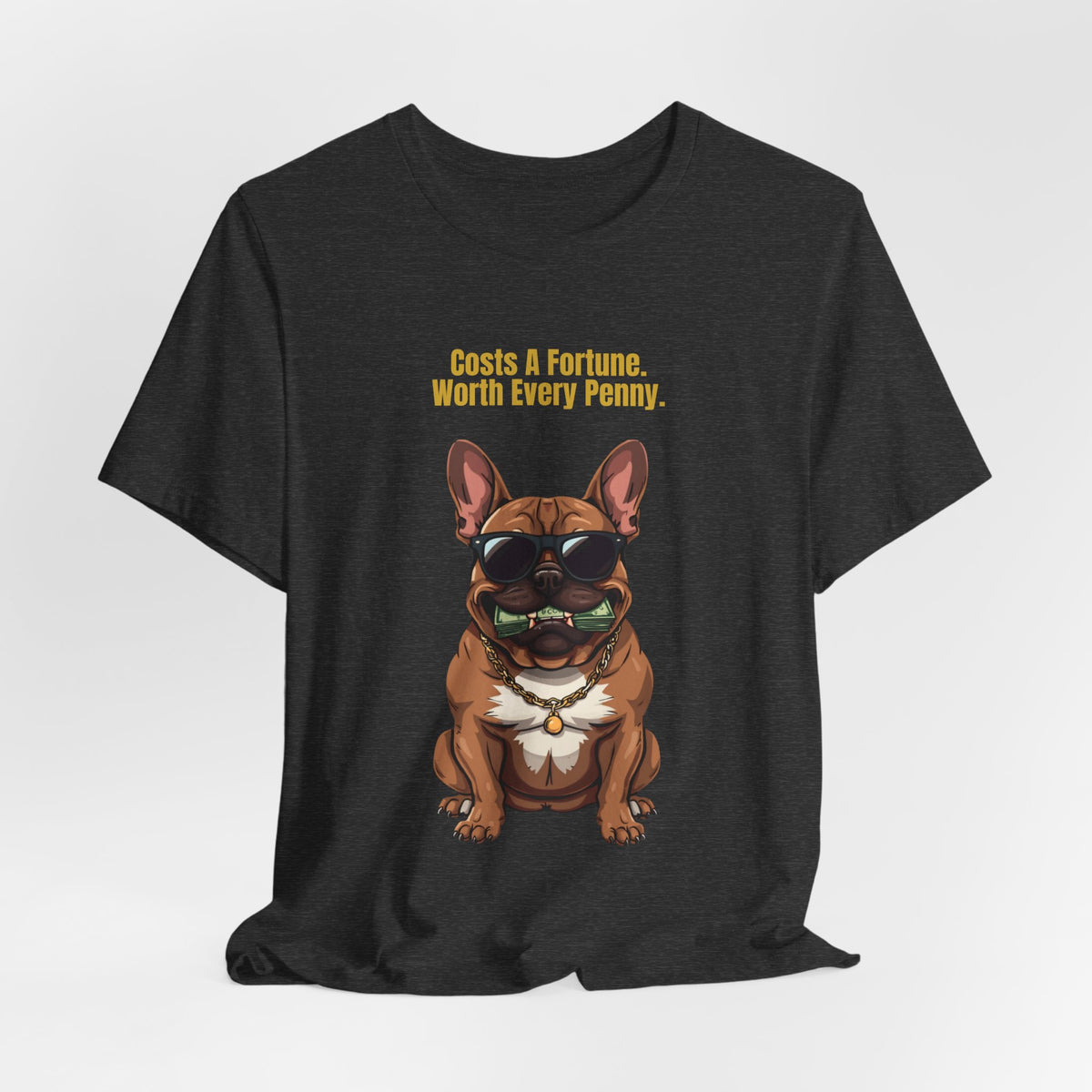 Costs A Fortune French Bulldog t-shirt - additional colourway detail