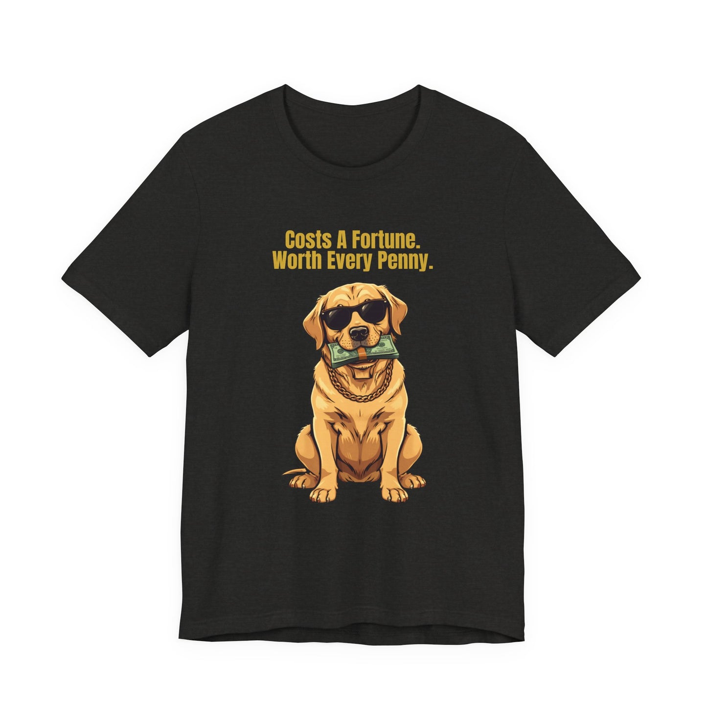 Costs A Fortune Labrador T-Shirt worn outdoors with dog