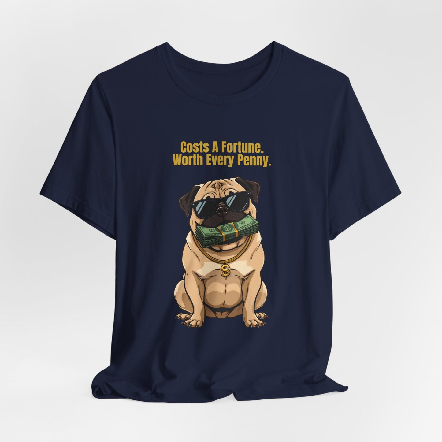 Costs A Fortune Pug t-shirt - styled with accessories