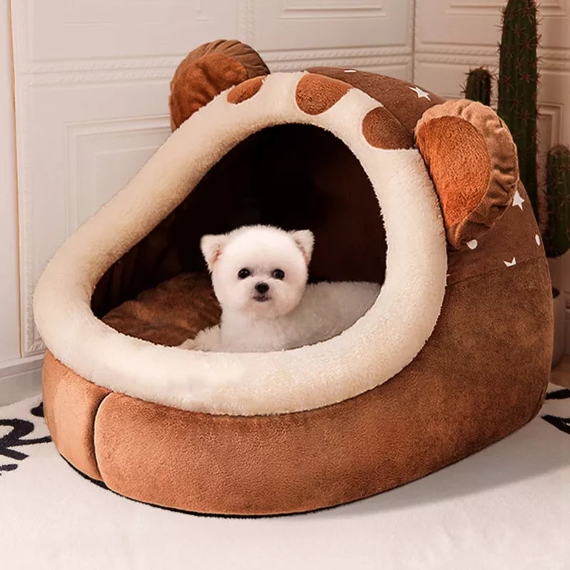 Fluffy white dog peeking out of bear hooded cave bed with star print exterior