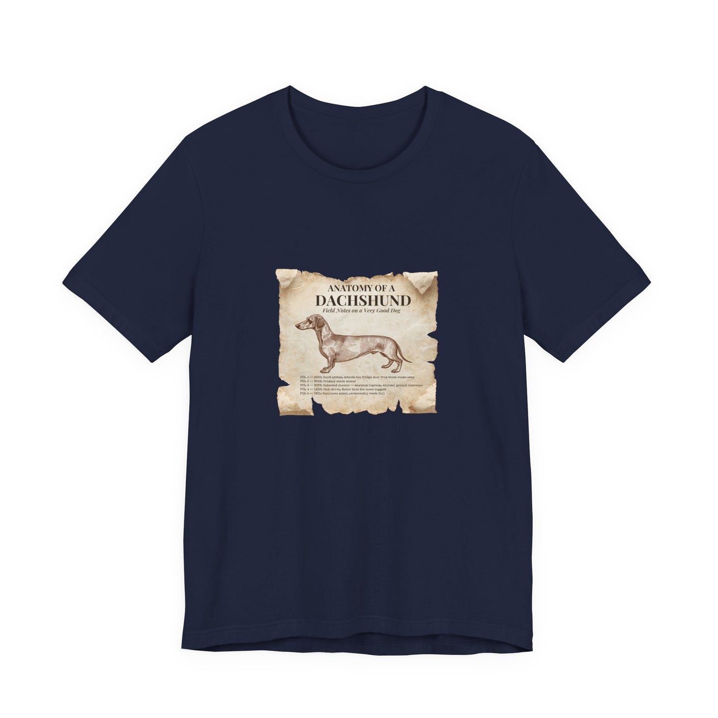 Dachshund Anatomy t-shirt collar and stitching detail