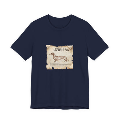 Dachshund Anatomy t-shirt collar and stitching detail