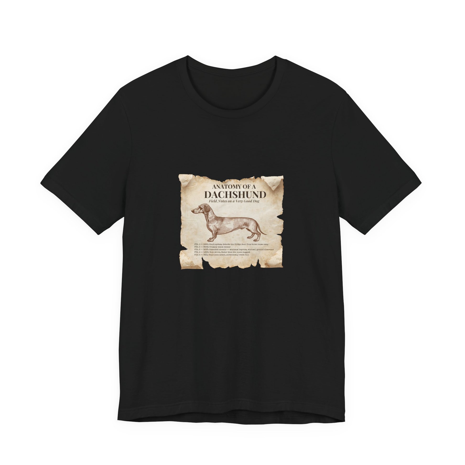 Dachshund Anatomy t-shirt available colour options
