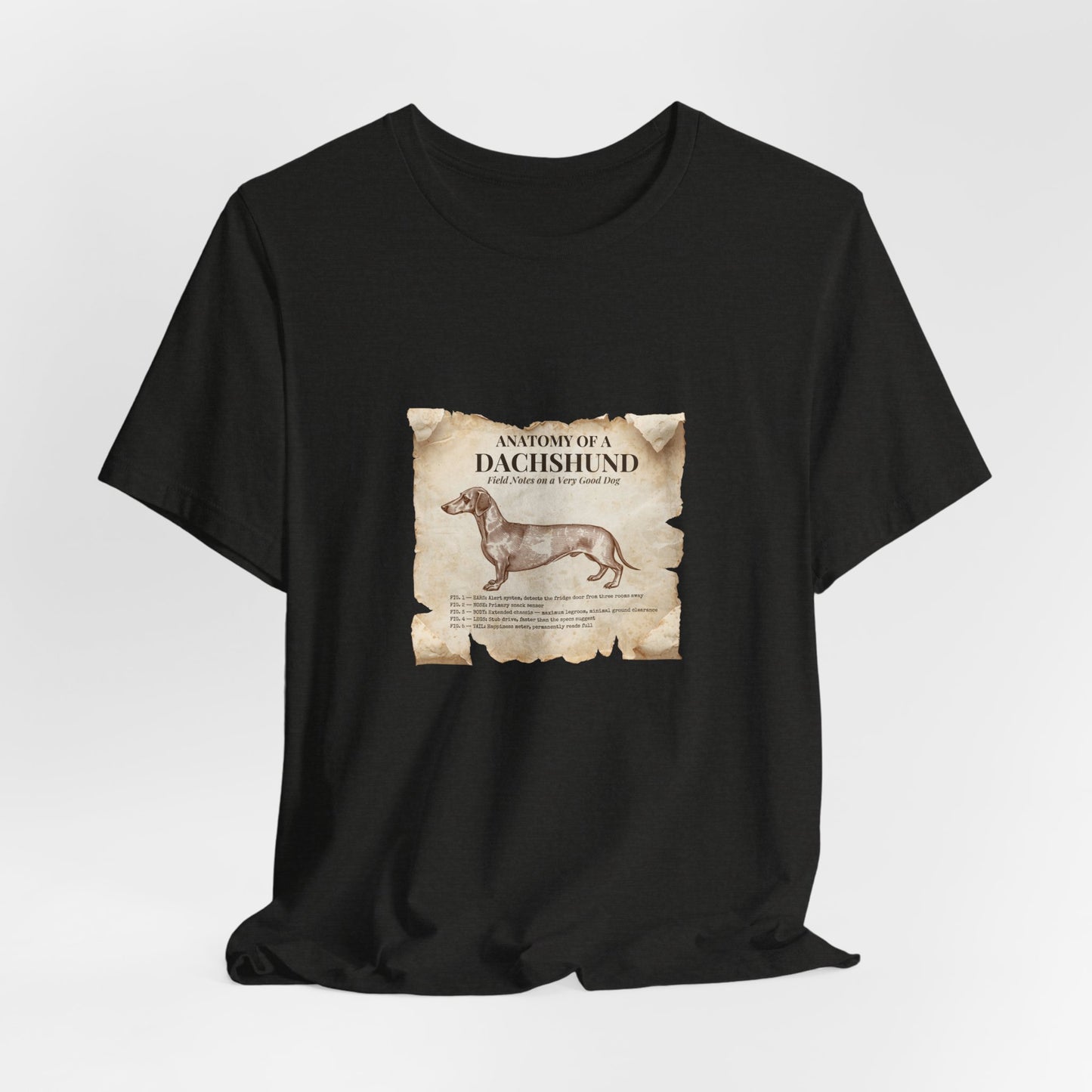 Dachshund Anatomy t-shirt fabric texture close-up