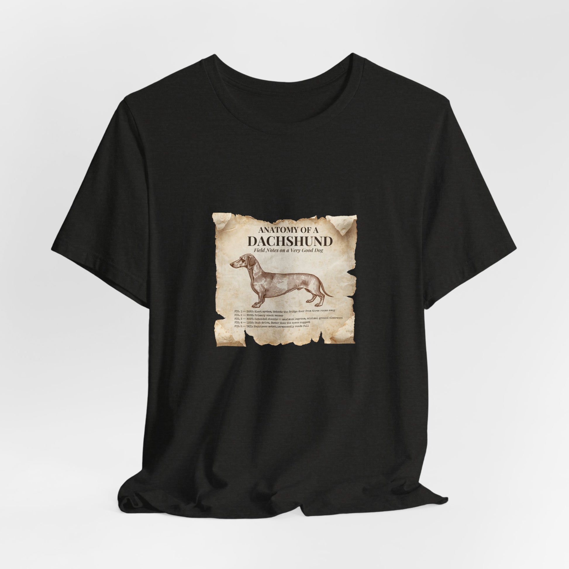 Dachshund Anatomy t-shirt fabric texture close-up