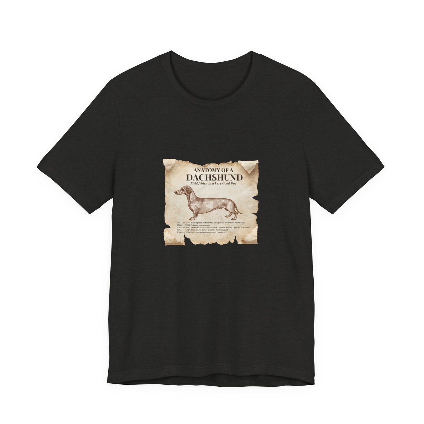 Dachshund Anatomy t-shirt flat lay, Dark Grey Heather colourway