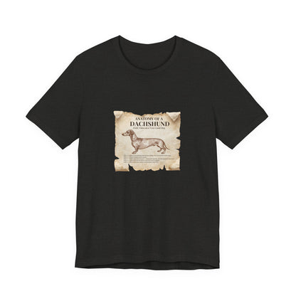 Dachshund Anatomy t-shirt flat lay, Dark Grey Heather colourway