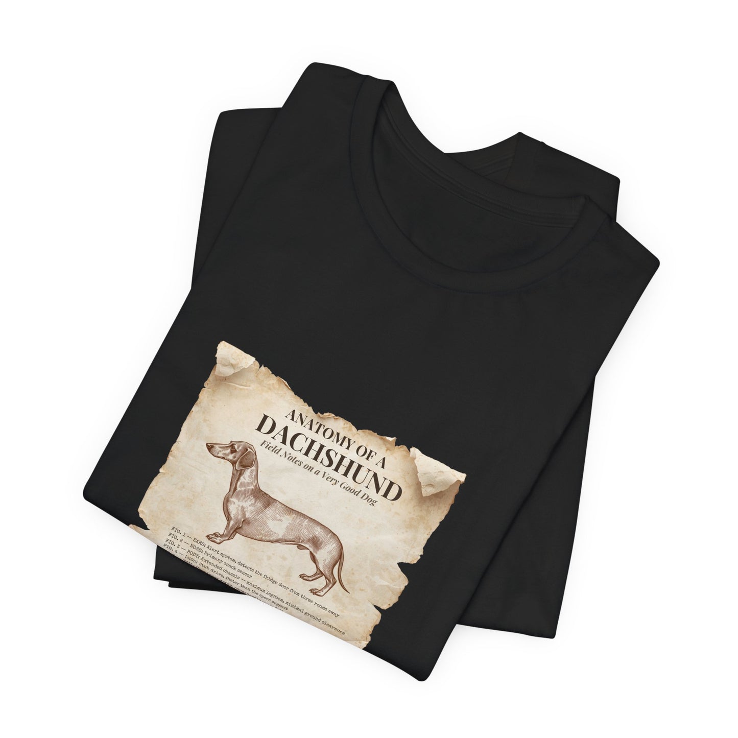 Dachshund Anatomy t-shirt worn on model, front view, Black Heather