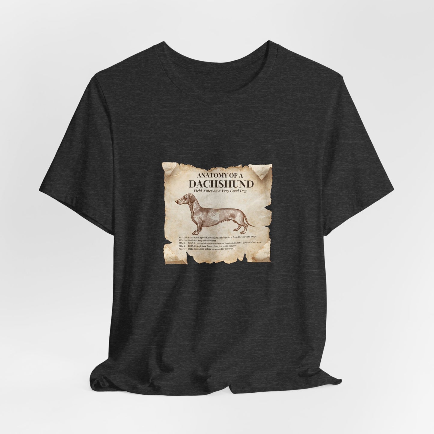 Dachshund Anatomy t-shirt full design view, front