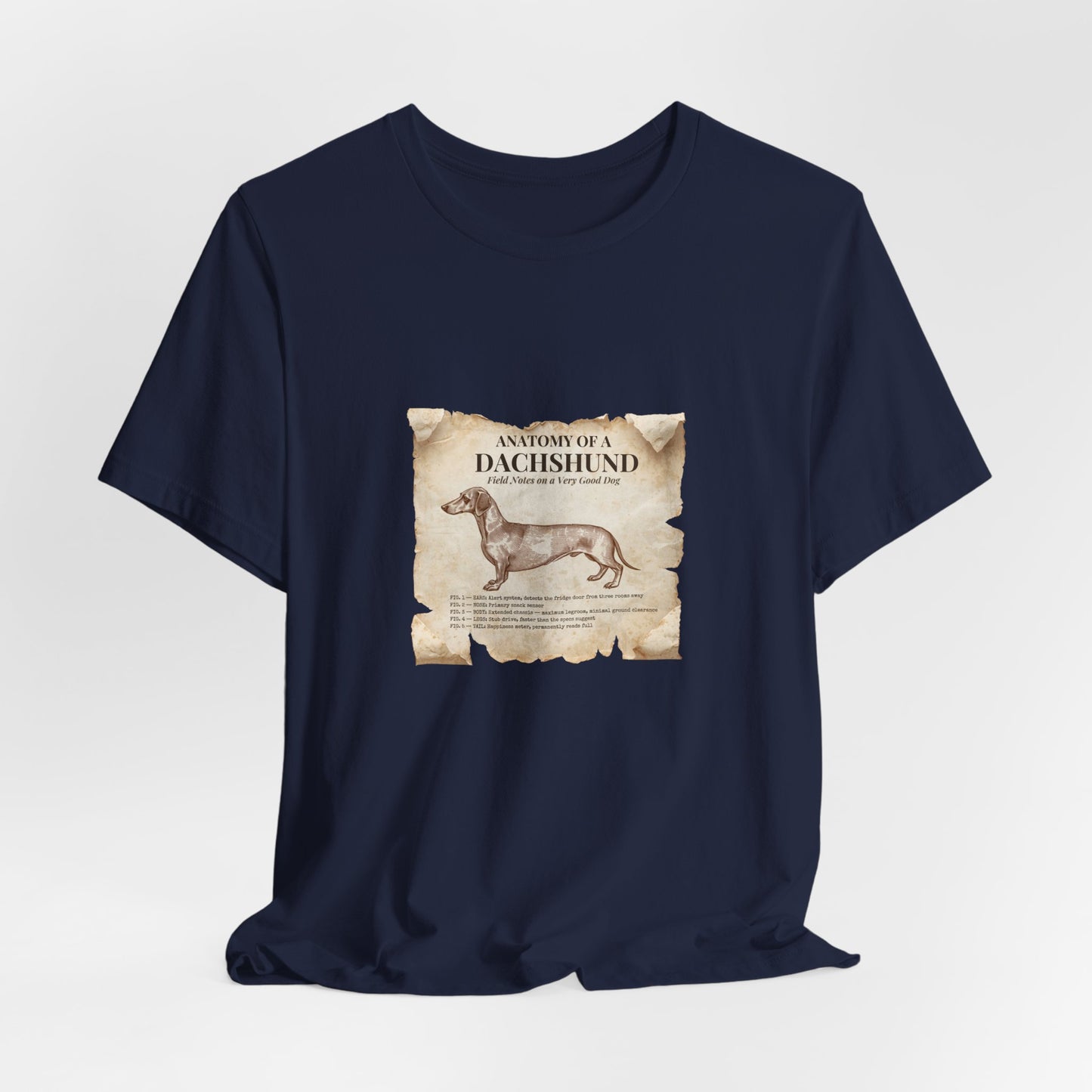 Dachshund Anatomy t-shirt close-up of the printed labels