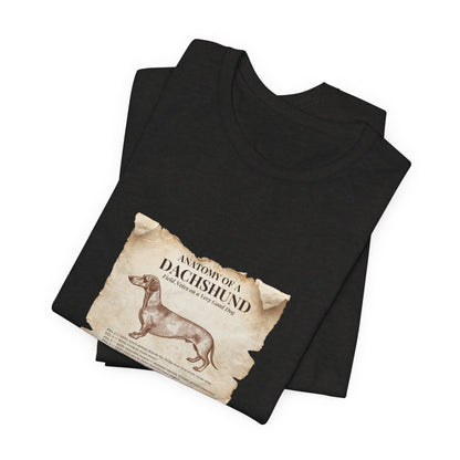 Dachshund Anatomy t-shirt sleeve and neckline detail