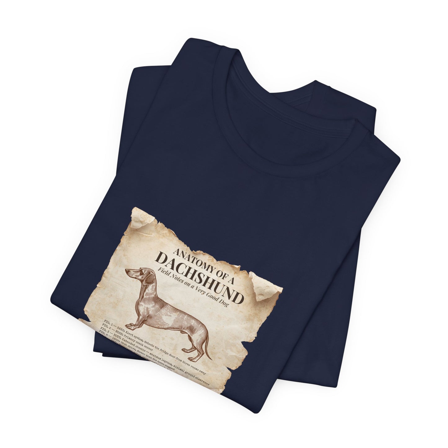 Dachshund Anatomy t-shirt studio shot, plain background