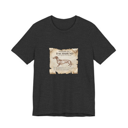 Dachshund Anatomy t-shirt worn on model, three-quarter view