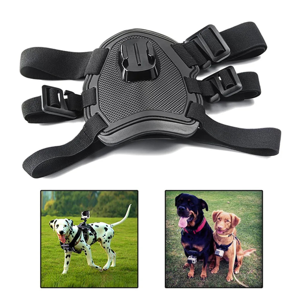 Black dog harness with mounting plate, shown on a white background with two inset images of dogs wearing the harness.