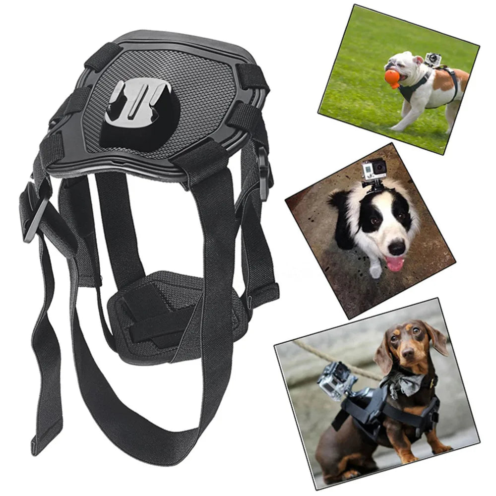 Black dog camera harness with GoPro mounted on back, side view on white background