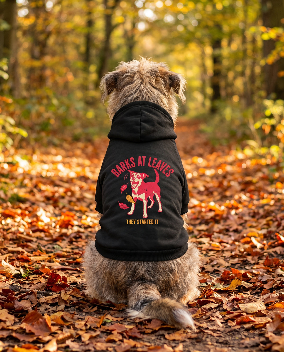 Dog sitting on an autumn path wearing the black Barks at Leaves Dog Hoodie, back view — SniffWaggleNWalk™