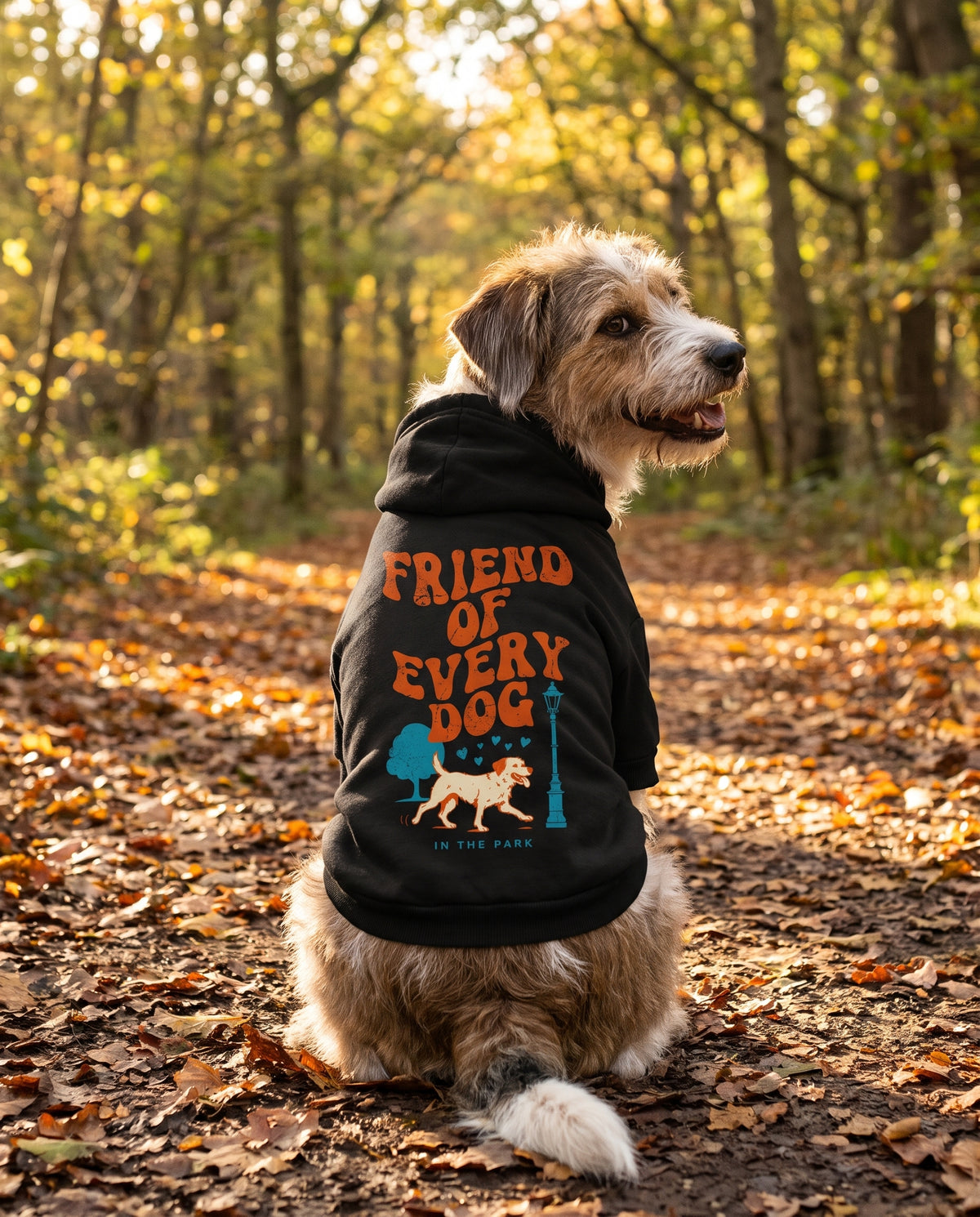 Dog sitting on an autumn path wearing the black Friend of Every Dog Dog Hoodie, back view — SniffWaggleNWalk™