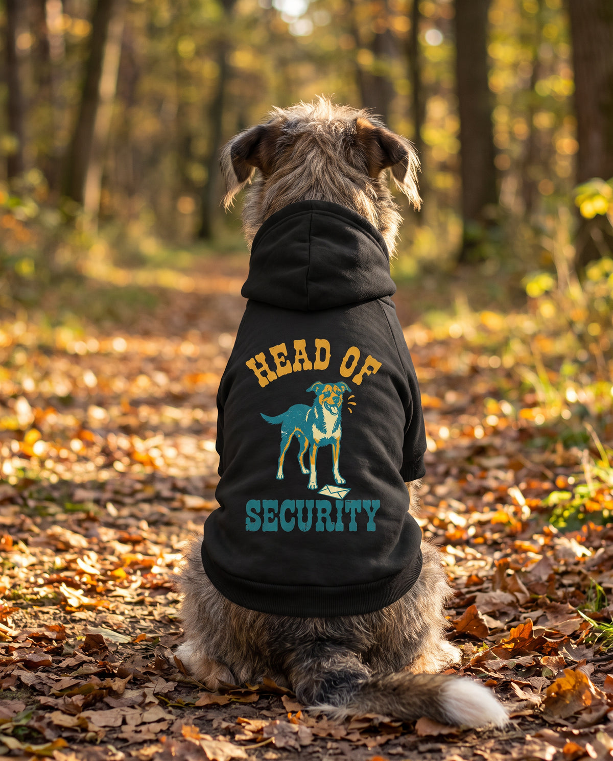 Dog sitting on an autumn path wearing the black Head of Security Dog Hoodie, back view — SniffWaggleNWalk™
