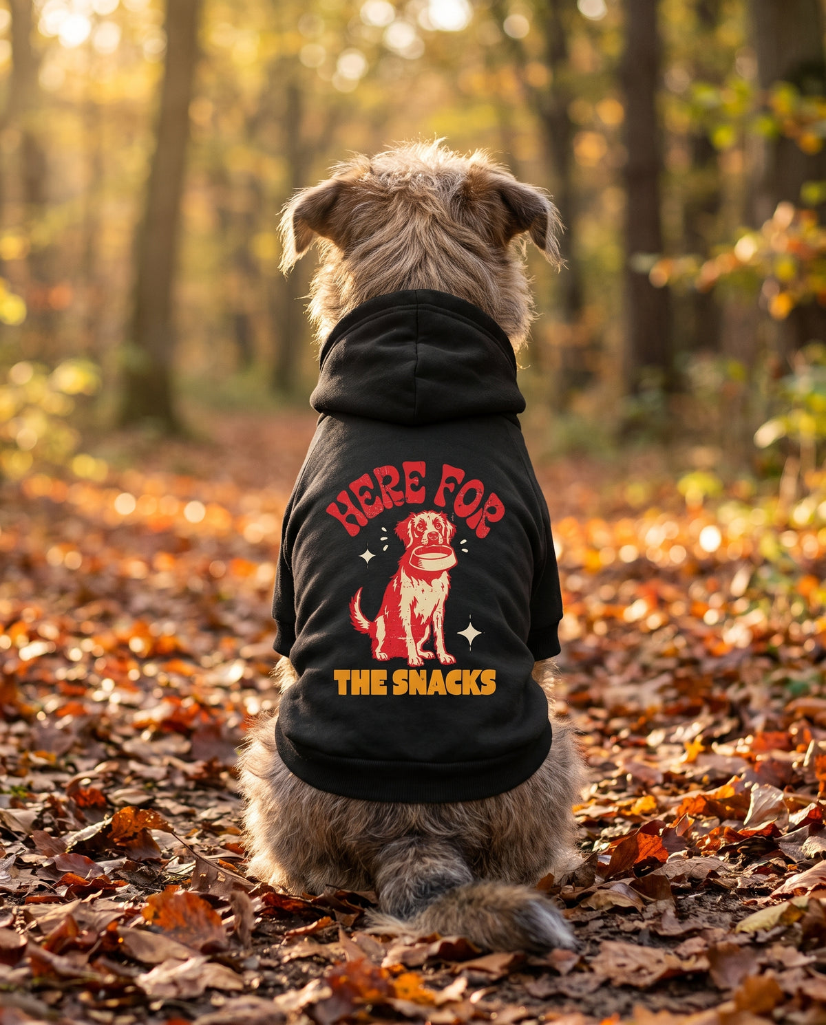Dog wearing the Here for the Snacks Dog Hoodie in Black, back view — SniffWaggleNWalk™