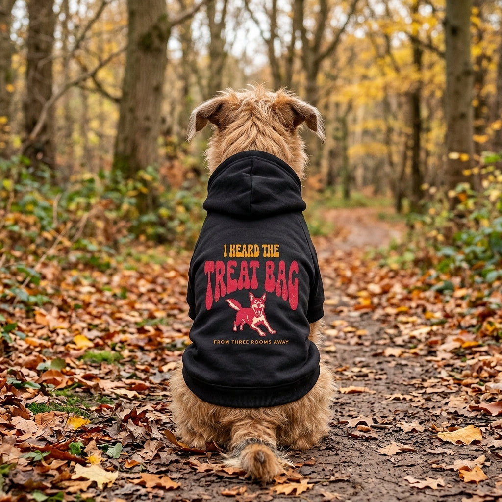 Dog sitting on an autumn path wearing the black I Heard the Treat Bag Dog Hoodie, back view — SniffWaggleNWalk™