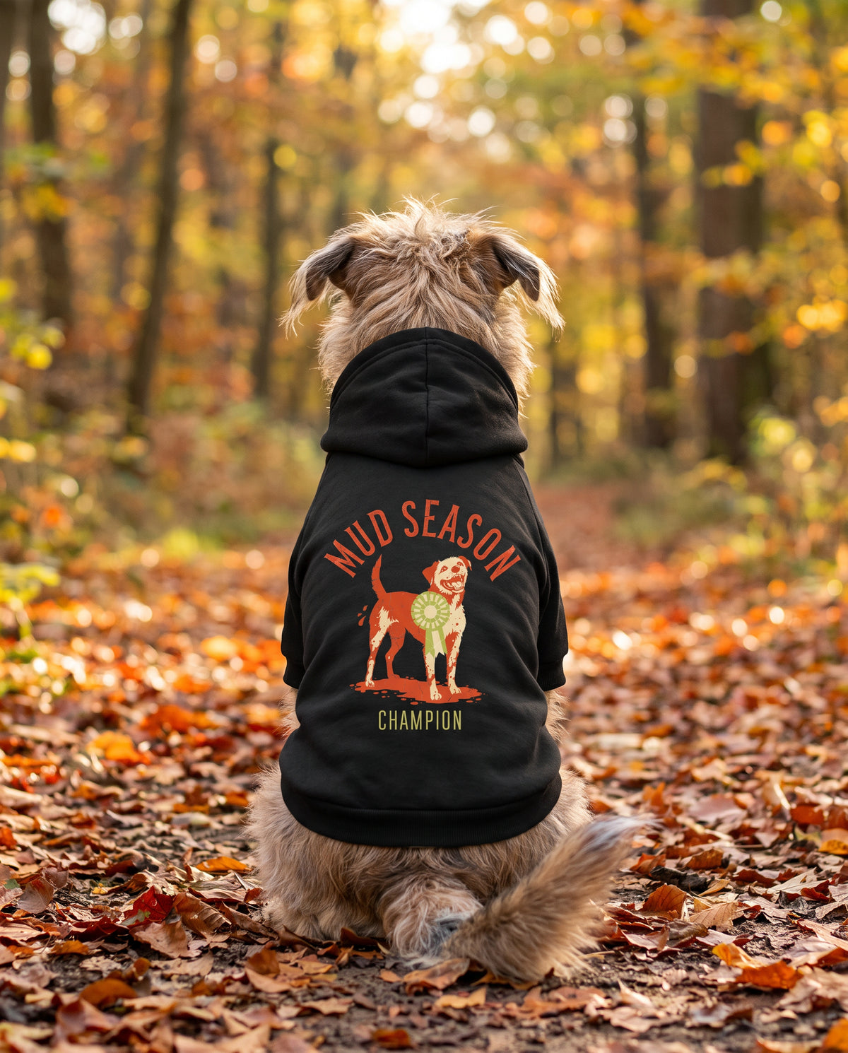 Dog wearing the Mud Season Champion Dog Hoodie in Black, back view — SniffWaggleNWalk™