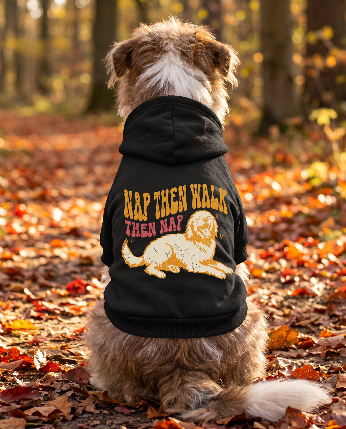 Dog sitting on an autumn path wearing the black Nap Then Walk Then Nap Dog Hoodie, back view — SniffWaggleNWalk™