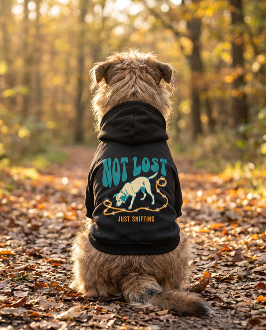 Dog sitting on an autumn path wearing the black Not Lost Just Sniffing Dog Hoodie, back view