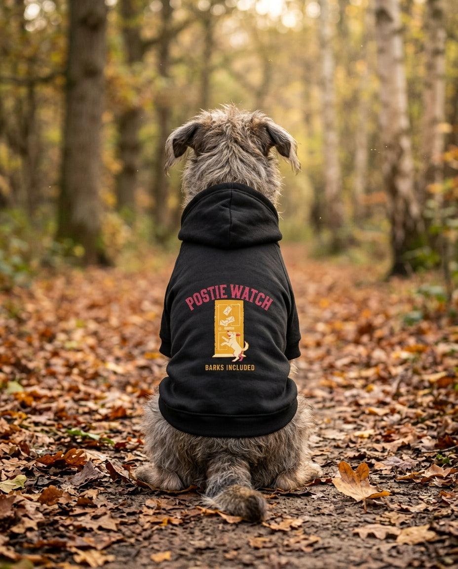 Dog sitting on an autumn path wearing the black Postie Watch Dog Hoodie, back view — SniffWaggleNWalk™