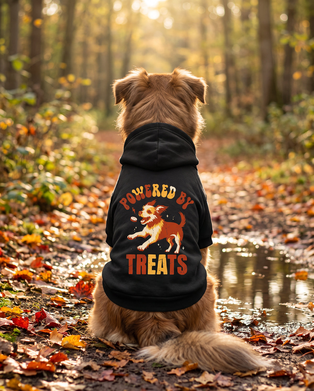 Dog sitting on an autumn path wearing the black Powered by Treats Dog Hoodie, back view — SniffWaggleNWalk™