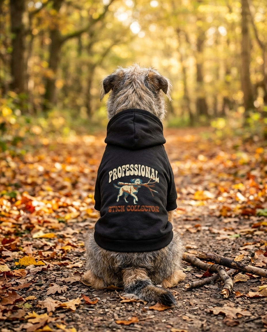 Dog sitting on an autumn path wearing the black Professional Stick Collector Dog Hoodie, back view — SniffWaggleNWalk™