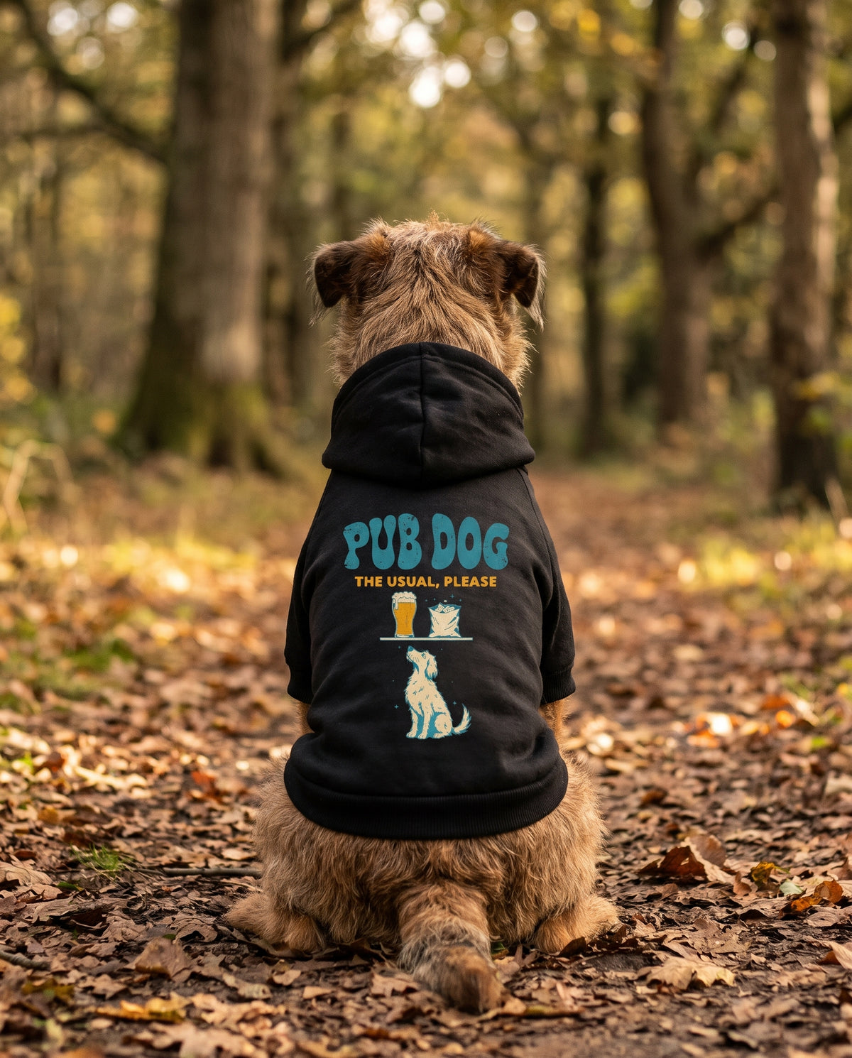 Dog wearing a black Pub Dog dog hoodie with collar hole — SniffWaggleNWalk™