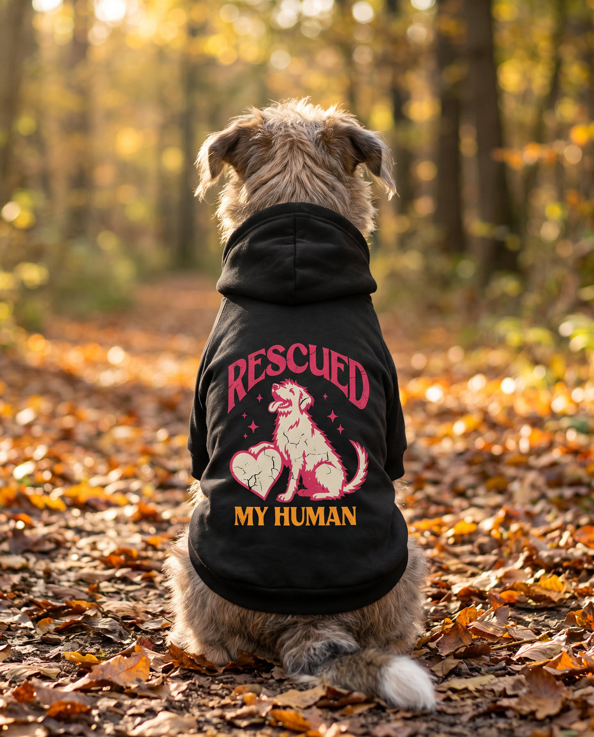Dog sitting on an autumn path wearing the black Rescued My Human Dog Hoodie, back view — SniffWaggleNWalk™