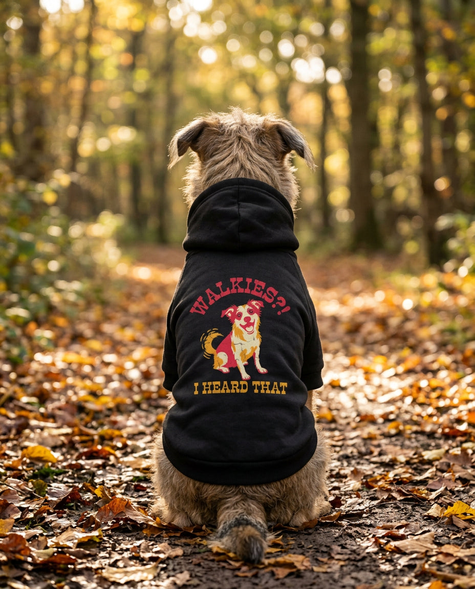 Dog sitting on an autumn path wearing the black Walkies? I Heard That Dog Hoodie, back view — SniffWaggleNWalk™