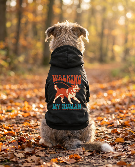 Dog sitting on an autumn path wearing the black Walking My Human Dog Hoodie, back view