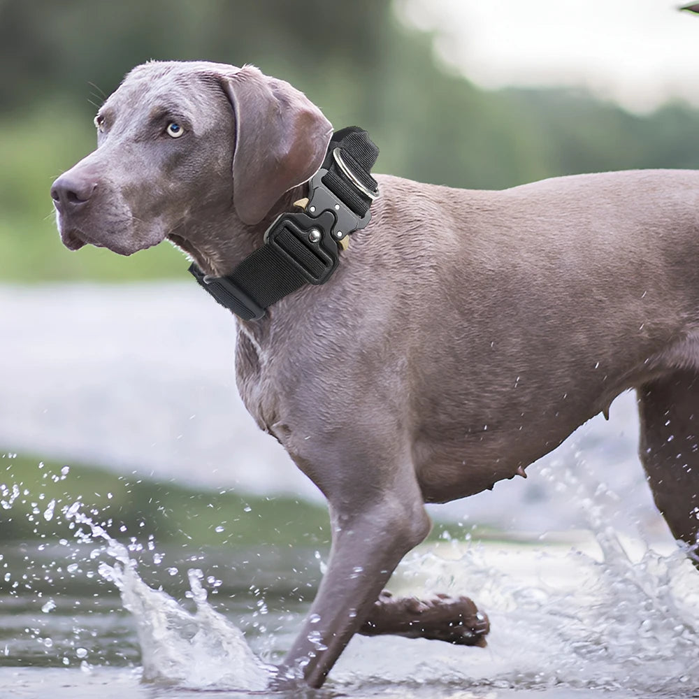 TitanPaw heavy duty dog collar soft padded inner lining