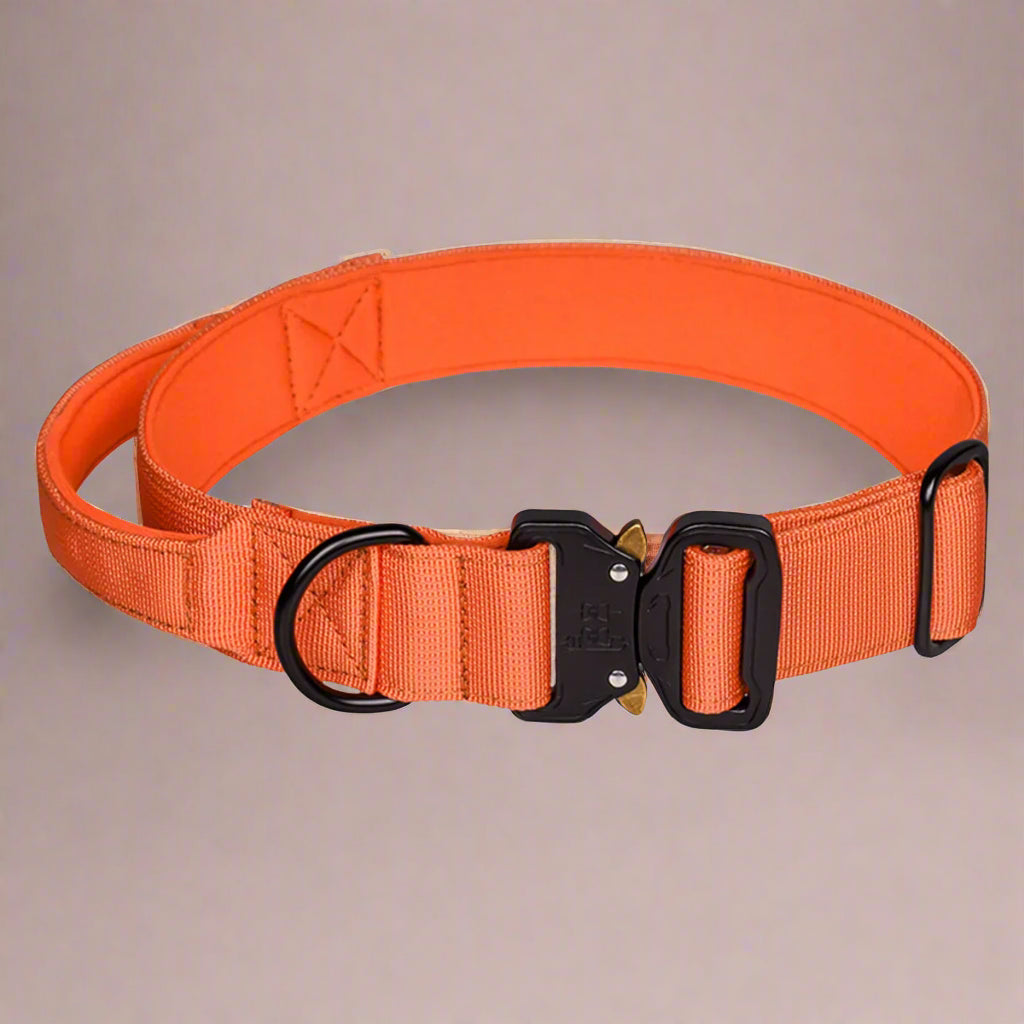 CobraCollar full colour range — 11 colours available: Black, Orange, Sky Blue, Hot Pink, Tan, Baby Pink, Lilac, Red, Dark Green, Blue, Rust