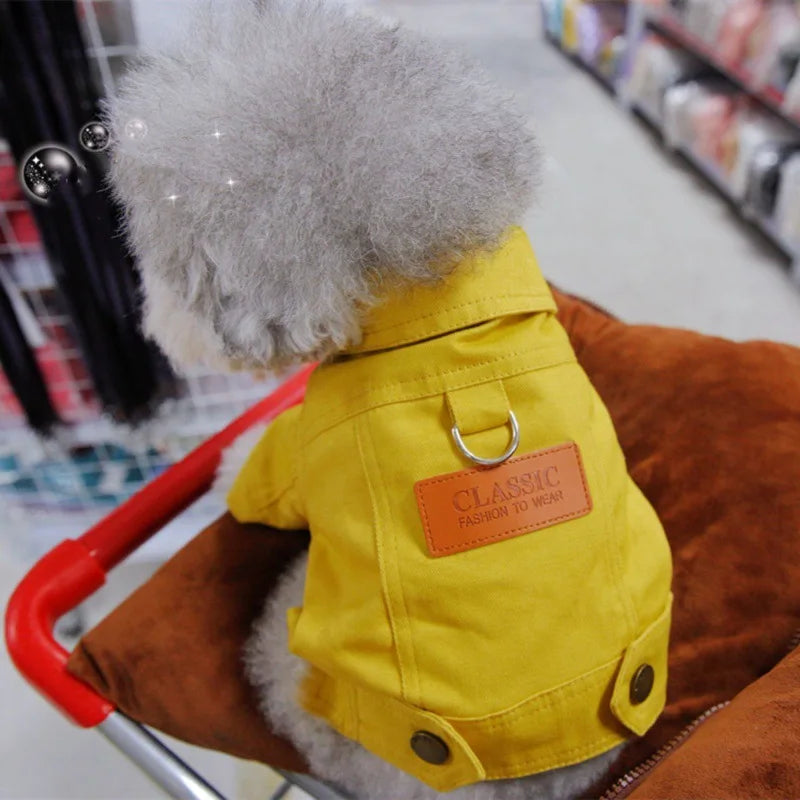 dog demin Spring Dog Suit Outfits with Dlink. - Sniff Waggle And Walk