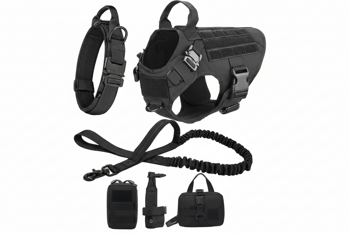 dog collar and harness