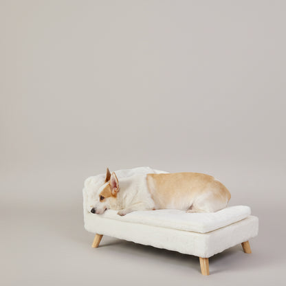 luxury pet beds dog on sofa bed