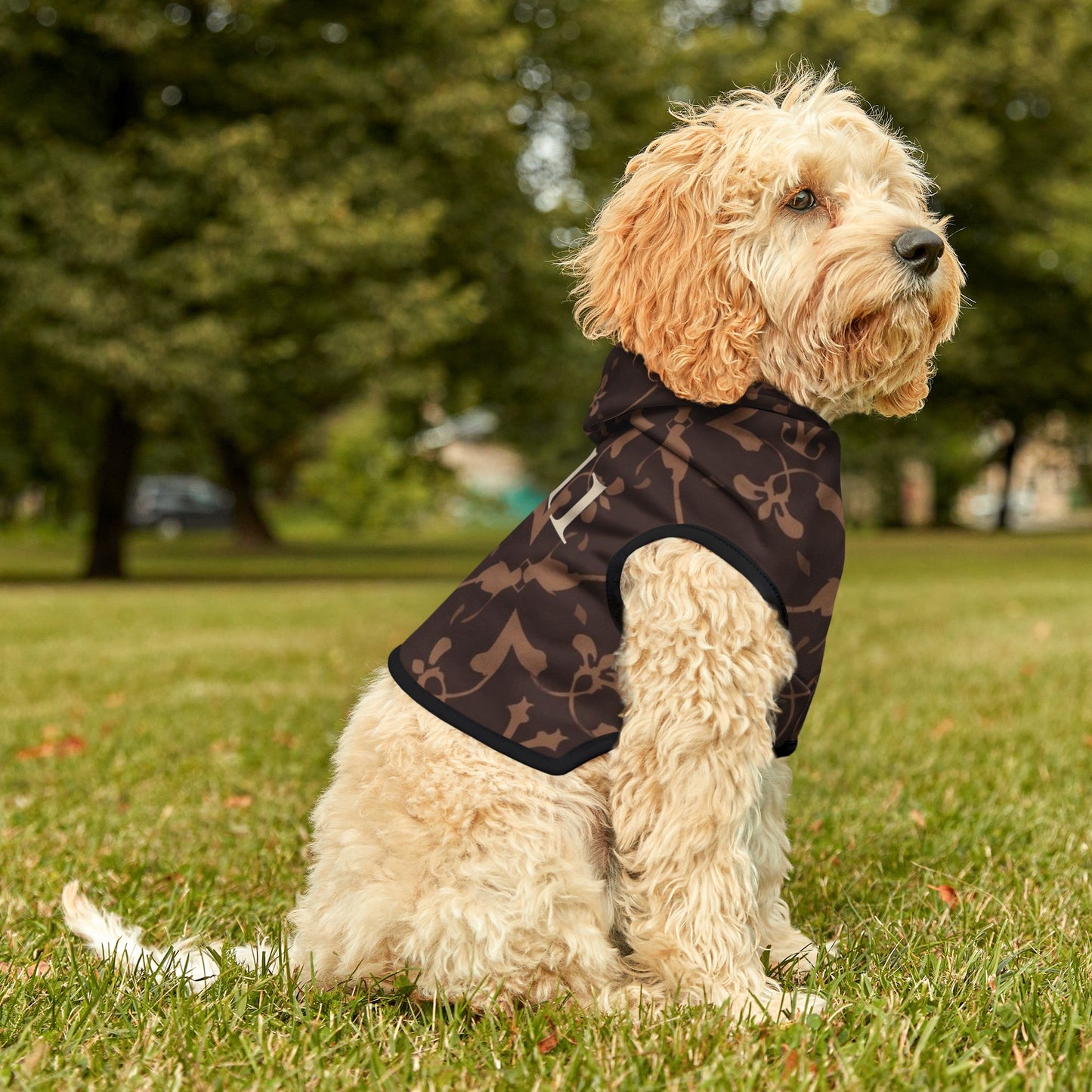 Dog wearing a patterned coat sitting on grass with trees in the background