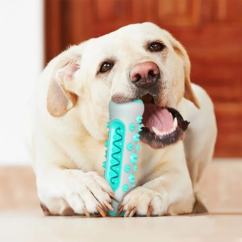 Dog Teething Stick Cleaning Bone Toothbrush. - Sniff Waggle And Walk
