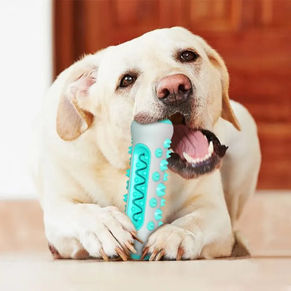 Dog Teething Stick Cleaning Bone Toothbrush. - Sniff Waggle And Walk
