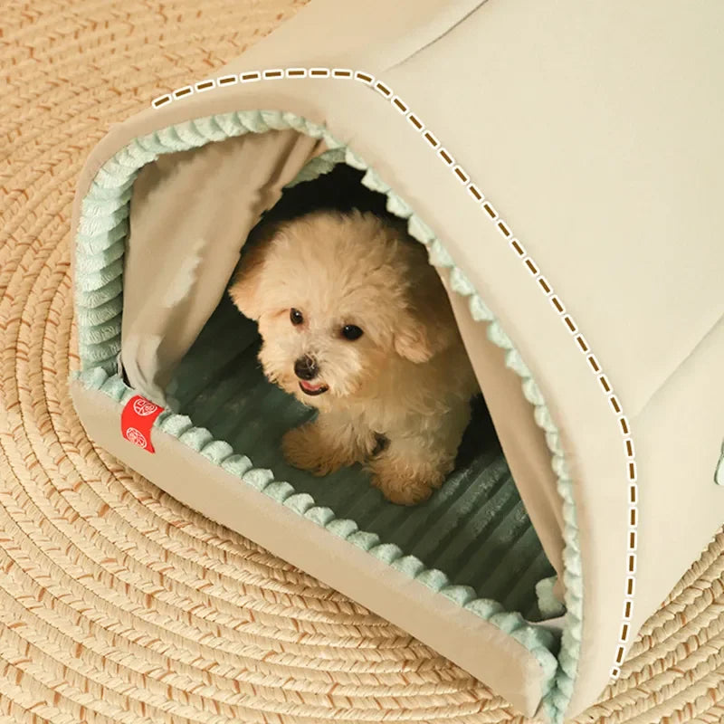 Small dog peeking out of CampCozy tent bed with curtains partially closed for privacy