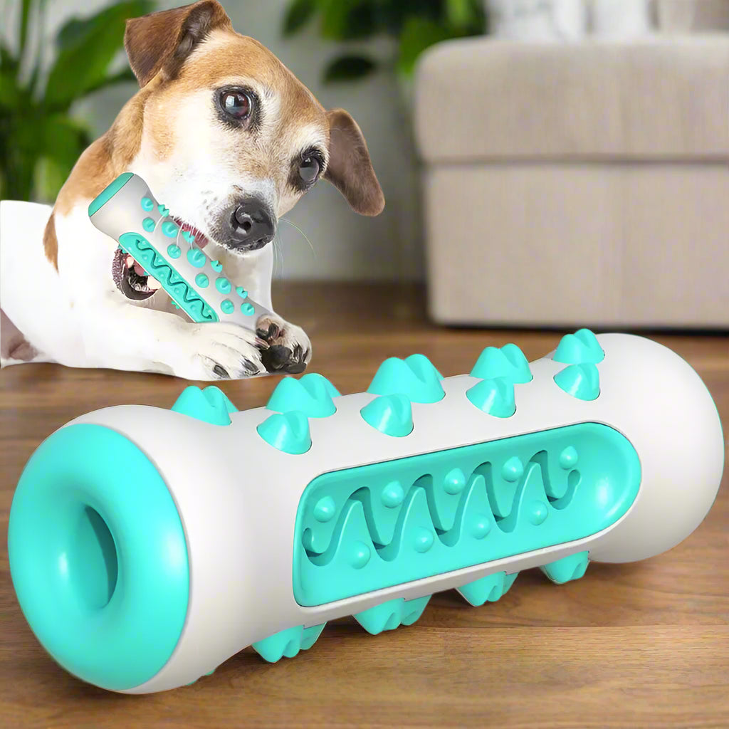 ChewNClean™ rubber dental teething chew stick — dental cleaning promotional image — SniffWaggleNWalk