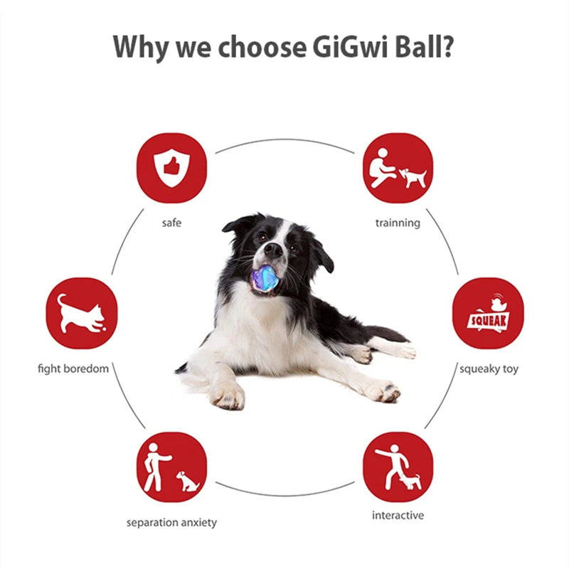GiGwi G-Ball high-density TPR squeaky dog toy — bite-resistant and food-grade safe