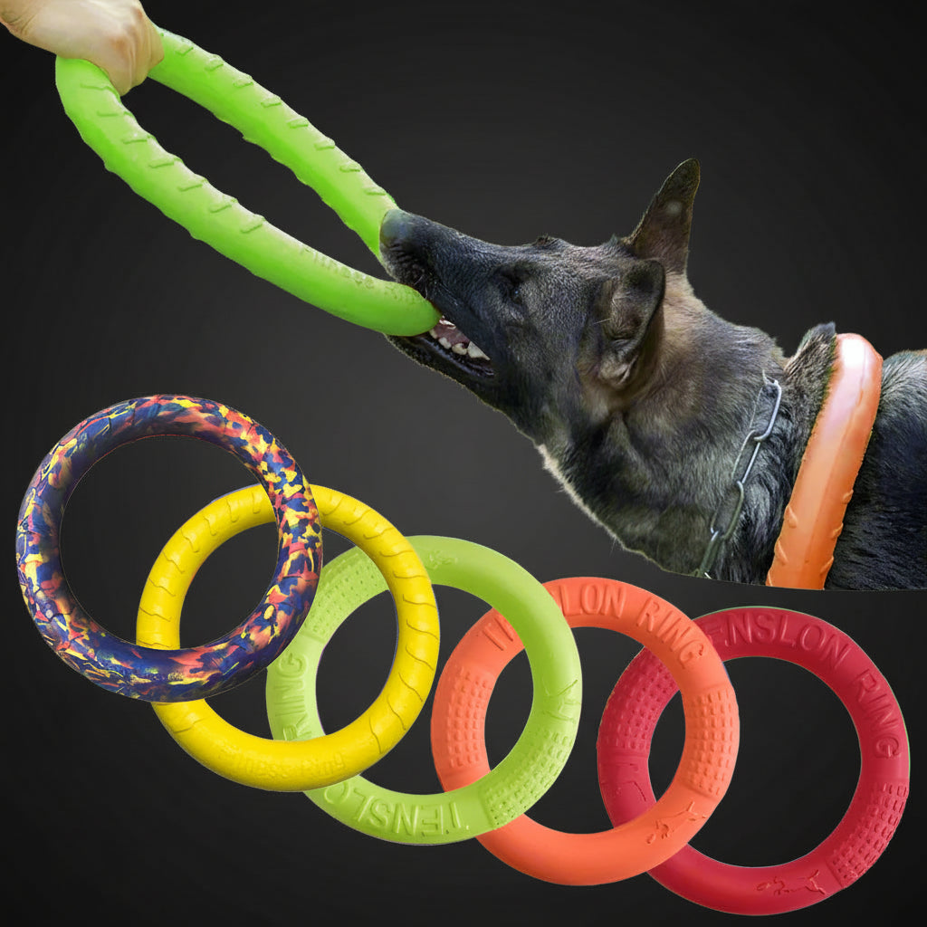 German Shepherd dog playing tug with green rubber ring dog toy outdoors
