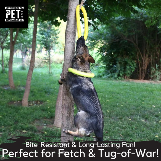 Tough Rubber Ring Bite Resistant Dog Toy.Sniffwaggleandwalk™