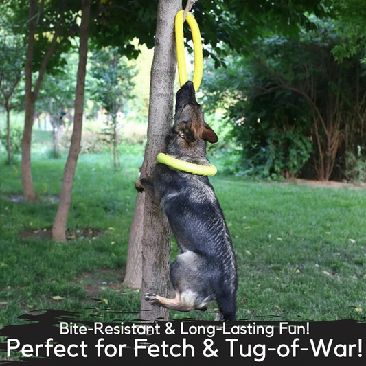 German Shepherd pulling green rubber ring dog toy in tug-of-war